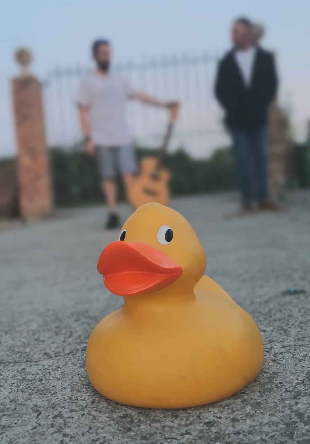 Dave The Duck
